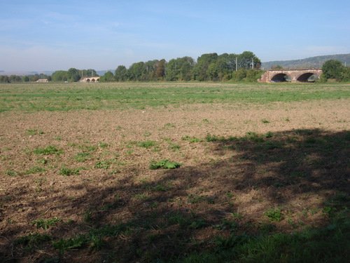 Train tracks elevated over a flood plain.